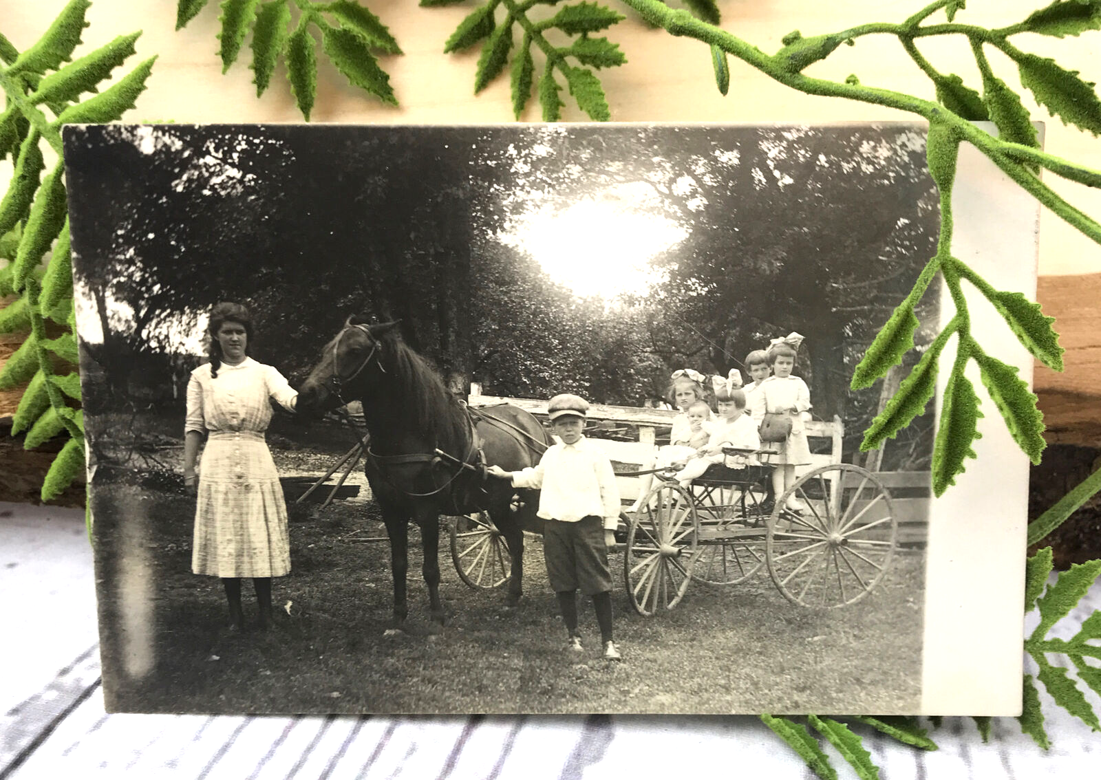 RPPC Cavallo Pony Buggy Cart Giovane Donna Bambini Ragazzi Ragazze Capelli Grandi Fiocchi Cappello #67