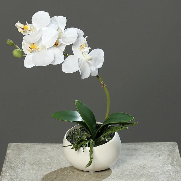 Kunstblume Orchidee Phalaenopsis In Keramikschale Creme Ca. 25Cm Natural-Touch-image