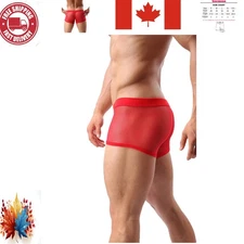 X-Large Men's Sexy Mesh Underwear - Alluring See-Through Boxer Briefs