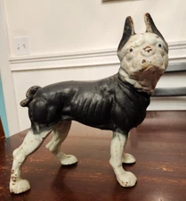 Vintage Boston Terrier Cast Iron Door Stop Dog Sculpture Heavy Iron, Neato!