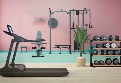 3D Smith Integrated Trainer Selbstklebende Abnehmbare Tapete Wandbild 3688