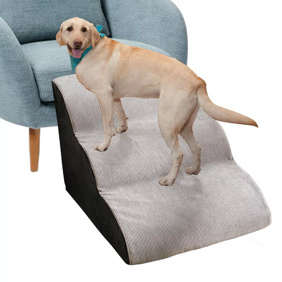 Step pet 2025