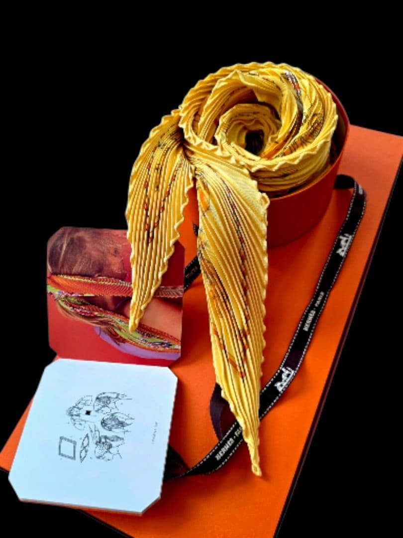 Hermes Pleated Scarf Constellation Pattern Hemisp… - image 1