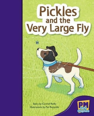 Pickles and the Very Large Fly 1st Edition by Carmel Reilly (English) Paperback 
