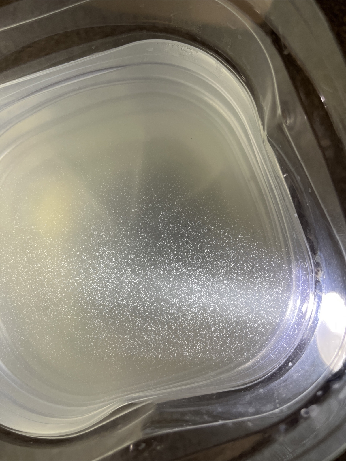 Infusoria and Paramoecium as food for fish fry >> killi.co.uk