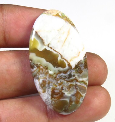 Wild Horse Jasper Cabochon Oval 37x20mm Natürlicher Edelstein 36 Cts WH-65