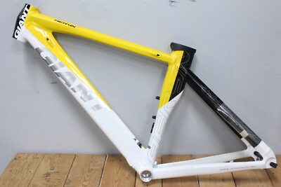 Giant Aeryn 2 Woman's Frame Time Trial Triathlon Track XS Speed TT