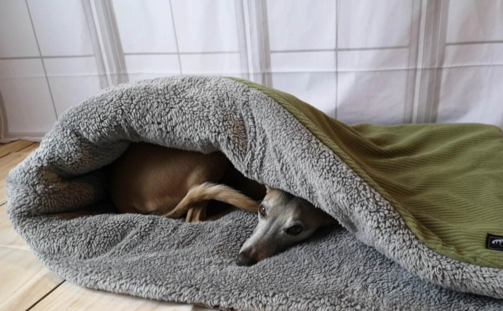 Olive Jumbo Cord Fleece Dog Bed - 3-in-1 Snuggle Sack - Anti-Anxiety Pet Cave
Opens in a new window