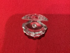 SWAROVSKI CRYSTAL CLAM WITH CRYSTAL PEARL    AQUATIC WORLD COLLECTION   No Box