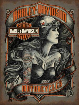 HARLEY DAVIDSON TATTOO BIKER GIRL 16'' HEAVY DUTY USA MADE METAL ADVERTISING SIGN