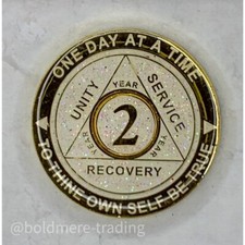 2 Year Alcoholics Anonymous Medallion White Gold Plated AA Sobriety Chip Coin