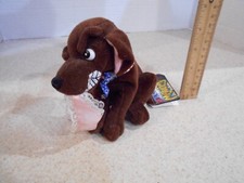 Meanie Beanie Babies Vintage Infamous 1998 BUDDY Bill Clinton's Dog Political