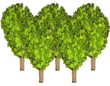 Ryż brzozowy 5x60cm Brzozowa gałązka brzozy Sauna Wenik Banja Akcesoria do sauny Vitau