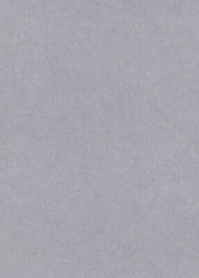 Erismann Vliestapete Gentle 1043010