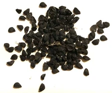 Organic Garlic Chives Seeds NON-GMO Heirloom pack of 150 (from Oklahoma) 