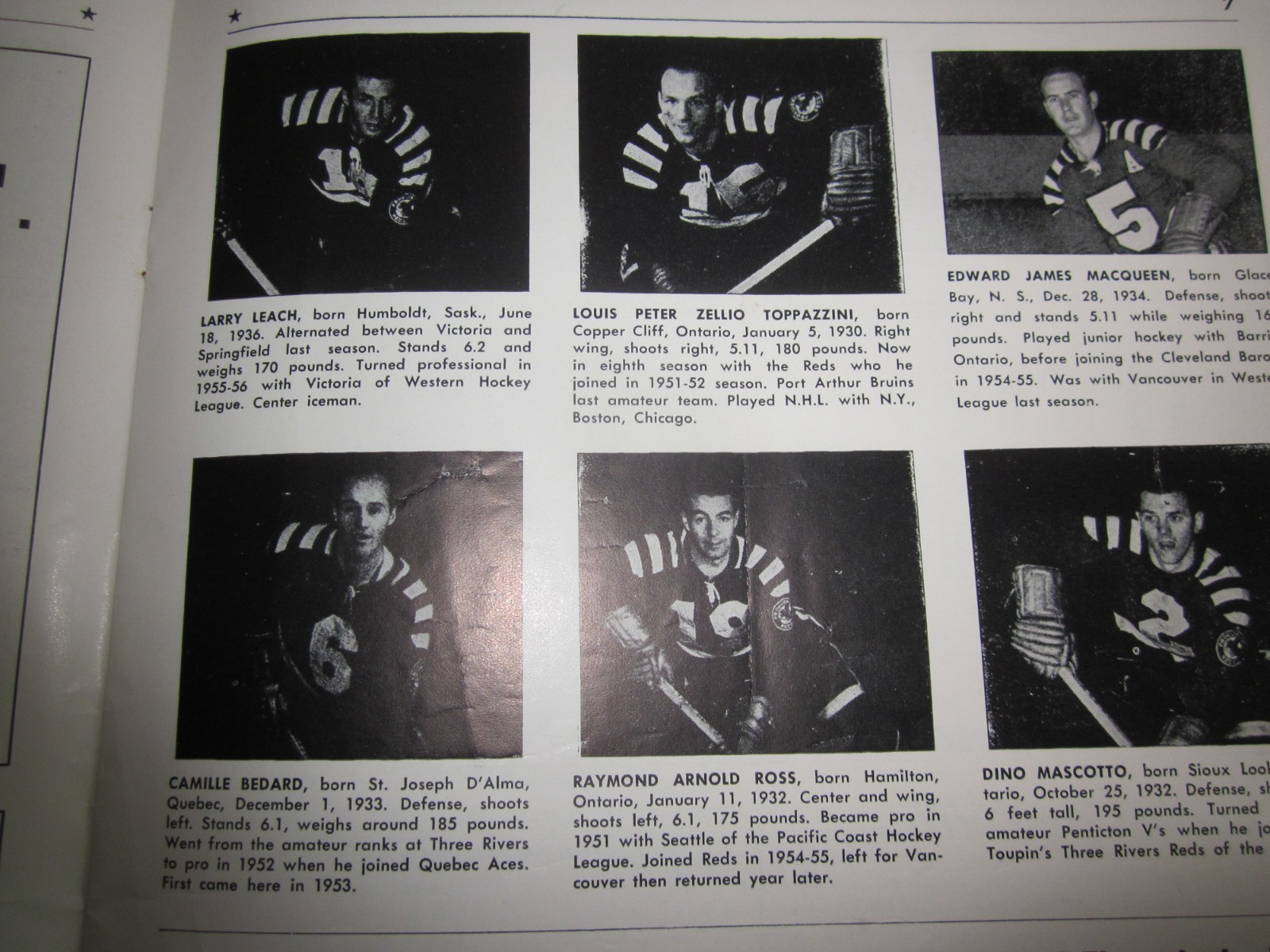 Picture 6 of 12