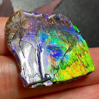 Natural Ammolite Gemstone Fossil Energy Healing Stone Purple Multiple Options