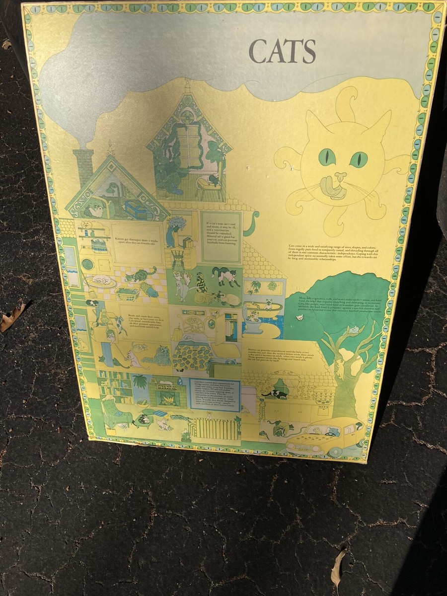 Vintage 1976 CATS Poster Portal Publications Litho 29x19” | eBay