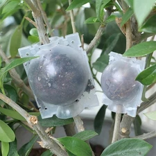 5pc-50PCS Plant Rooting Device Grow Grafting Box High Pressure Propagation Balls