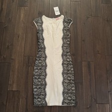 Love…Ady Romantic Feminine White with Black Lace Cap Sleeve Pencil Dress M NWT
