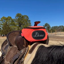 Personalized Horse Saddle Bag, Pink Pommel Bag, Horse Tack, Saddle Accessories