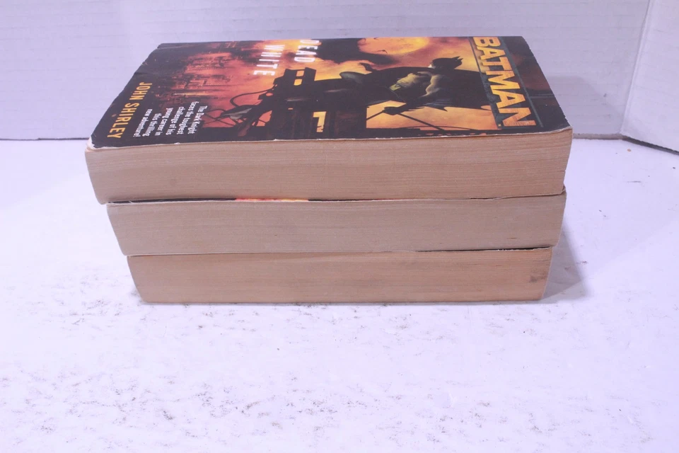 lot of 3 Batman Paperback Books No Man’s Land Greg Rucka Inferno dead white - Image 4 of 4