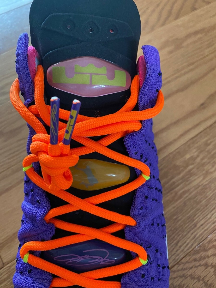 Nike Lebron XVIII 18 Best of 10-18 Psychic Purple Size 8 | eBay