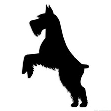 Schnauzer Jumping Dog - Decal Sticker - Multiple Colors  Sizes - ebn6581
