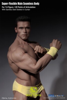 1/6 Phicen Super Flexible Male Seamless Body Steel Skeleton PL2016