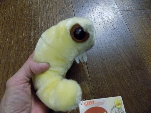 GIANT MICROBES BOOKWORM STUFFED Science Teaching Doll PLUSH Book Worm tag FREAKY - Picture 2 of 6