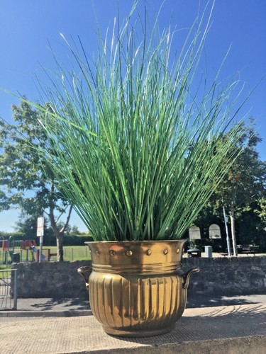 VINTAGE REEDED BRASS FAUX STUDDED PLANTER FLOWER PLANT POT BOHO 60'S 70S ANTIQUE - Picture 12 of 12