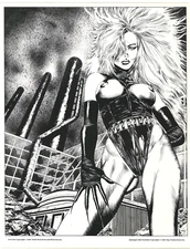 MIDNIGHT SILK Art Print 2 Mark Beachum & Rick Bryant art S. Q. Pub 1987