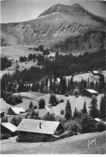 74 LE BETTEX AM#DC929 LE CHALET REMY ET LE MONT JOLY