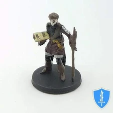 Hommet Shaw - Monster Menagerie #22 D&D Wizard Miniature