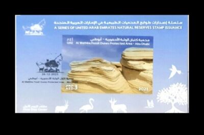 Vereinigte Arabische Emirate AlWatba Fossil Dunes Protection Zone Abu Dhabi...