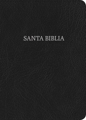 RVR 1960 Biblia Letra Grande Tamano Manual (Hand Size Giant Print)-Black Bonded