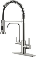 FORIOUS Kitchen Faucet with Purified Water Filter 2 in 1