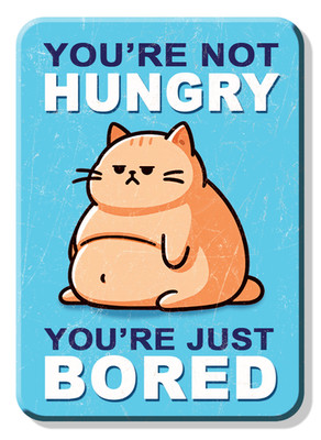 You re Not Hungry Bored Cat Sign Refrigerator Magnet Kitchen Decor 2.5 x 3.5Inch