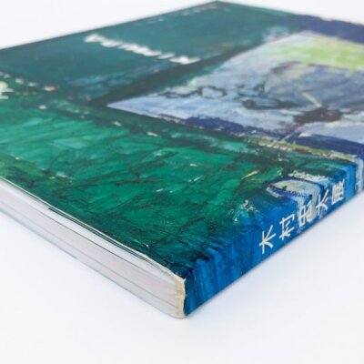 USED] Chuta Kimura Exhibition Catalog 1994 Tokyo Illustrated Book
