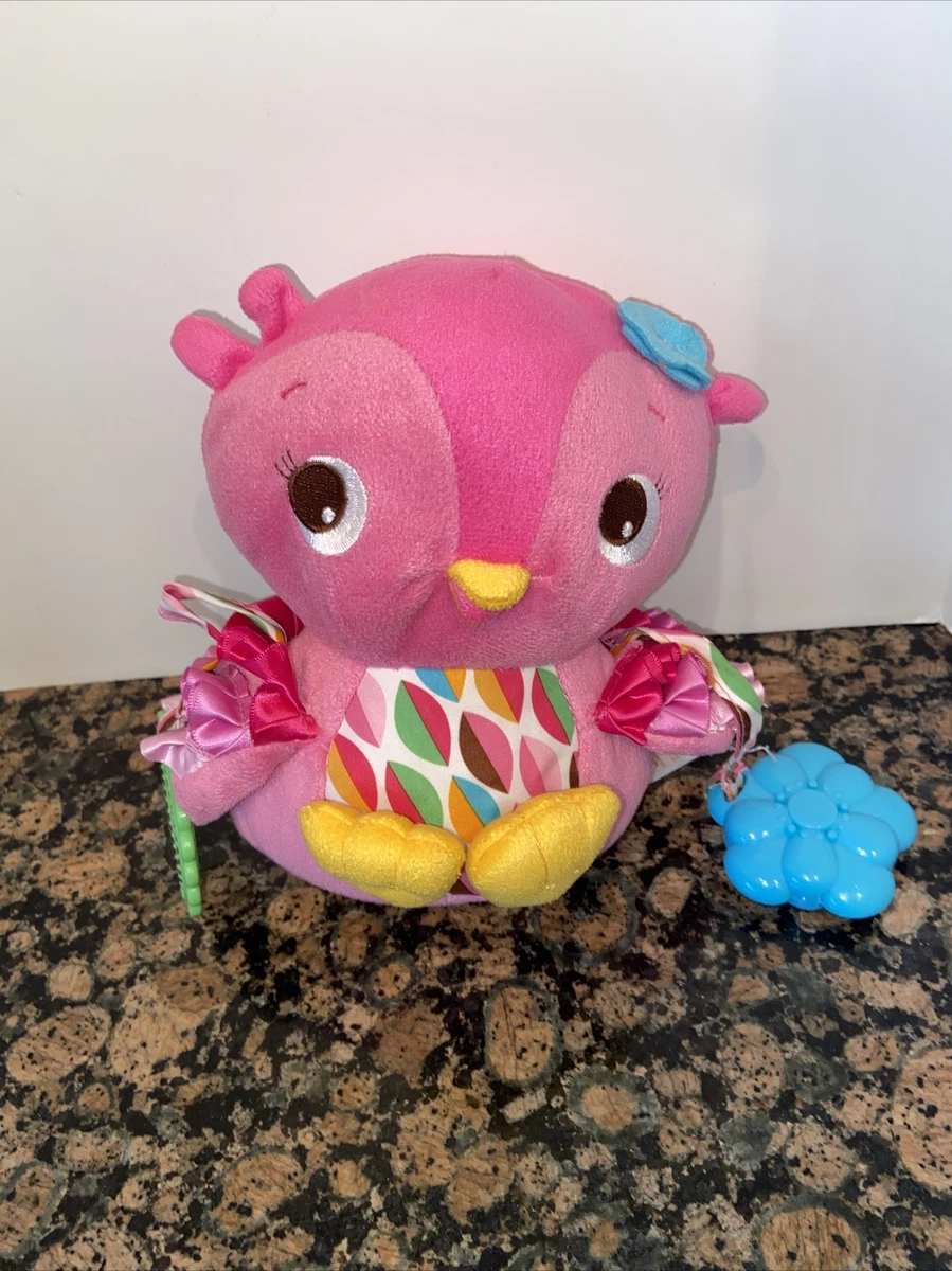 Bright Starts Plush Pink Owl Baby Jingles Crinkles Rattles Mirror Activity Toy