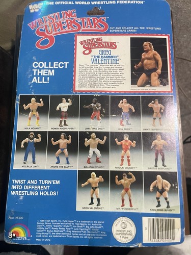 CAS 80 NM   WWF Superstars - Mr FUJI - LJN - 1986 ...