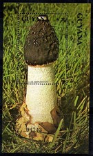 Guyana 1990 Mi. Bl.105 Bloc Feuillet 100% Neuf ** 20 $, champignons