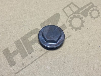 Stopfen Planet Vorderachse ZF APL IHC 744 844 856 955 956 1255 1455 933718R1