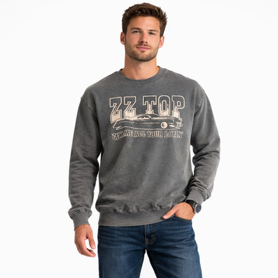 ZZ Top Gimme All Your Lovin' Unisex Graphic Sweatshirt Small Gray Long Sleeve