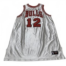Chicago Bulls 12 Kirk Hinrich Basketball Jersey White Red No tags
