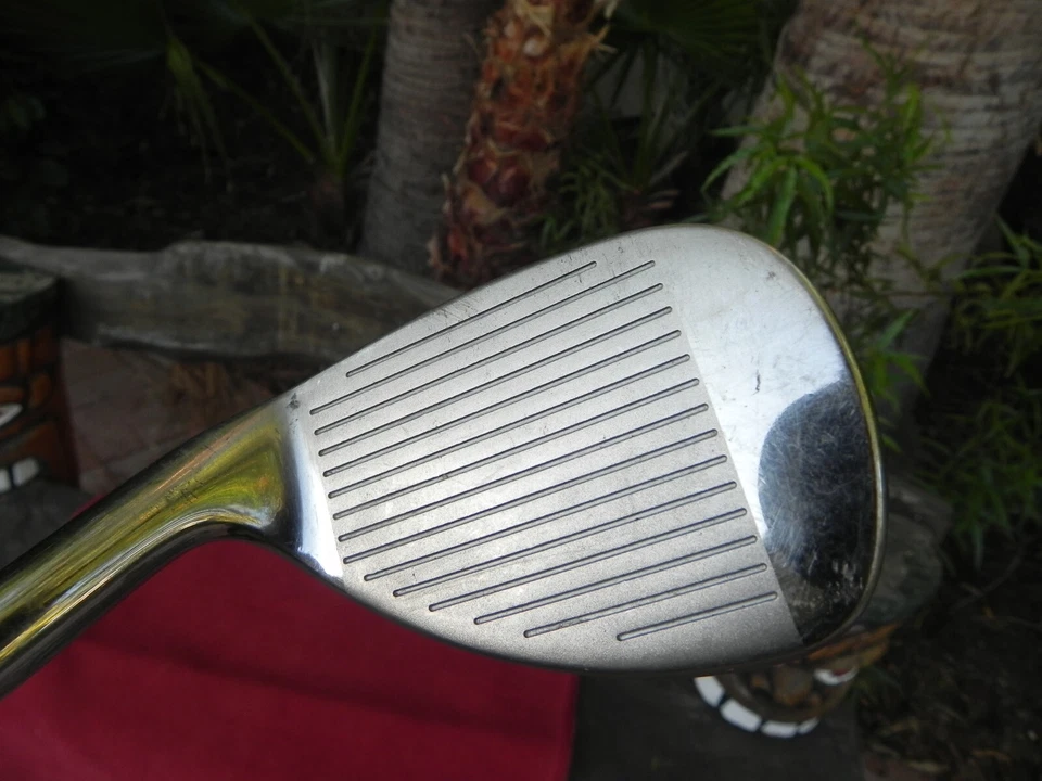 ДАМЫ, рысь тигрицы, сэнд-ведж, графит женщин FLEX стержень. L., 34,5» * изящный * - Изображение 4 из 4