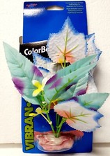 BLUE RIBBON Colorburst Florals Plant Flowering Broad Leaf Cluster CB-210-BL