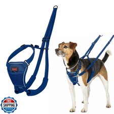 Halti No Pull Harness - Stop Your Dog Pulling on The Leash. Adjus