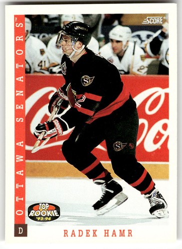 1993 radek hamr #476