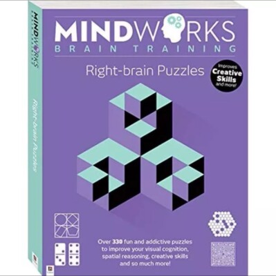 Mindworks Brain Training Right-Brain Puzzles 320 Activities Hinkler 2005 VGC